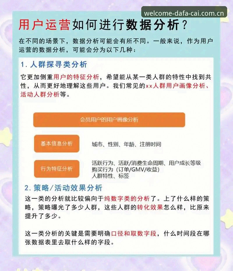 大发彩票平台数据整合与用户体验：v2.3.0版本的深度分析